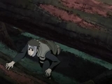 naruto-shippuden37.jpg