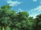 naruto-shippuden43.jpg